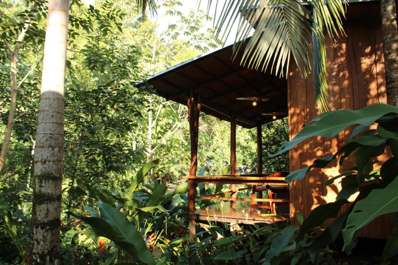 Natural Drake Bay Hotel Boutique Экстерьер фото